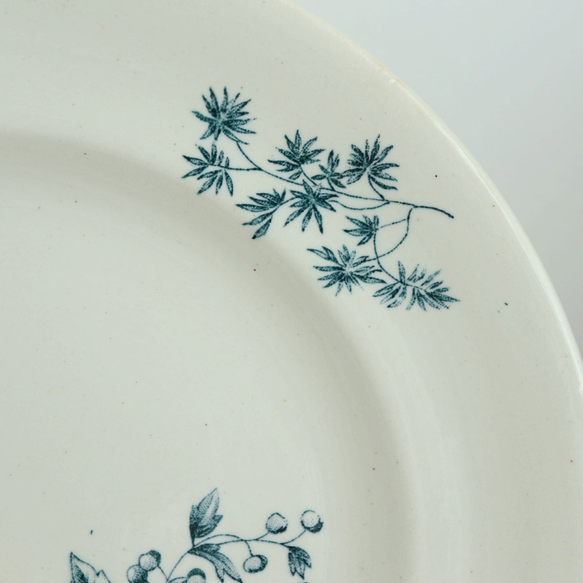アンティーク プレート 小鳥 皿 MIGNON フランス ロンウィー製 LONGWY