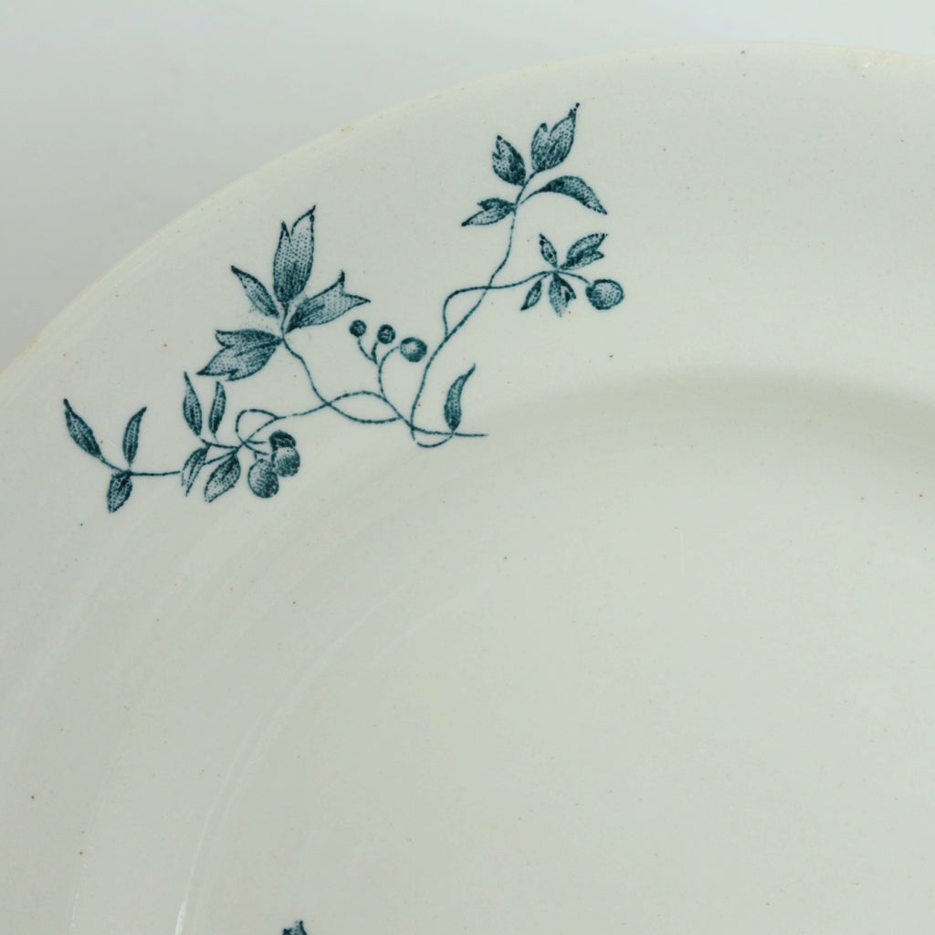 アンティーク プレート 小鳥 皿 MIGNON フランス ロンウィー製 LONGWY