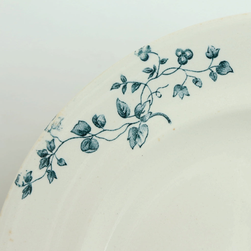 アンティーク プレート 小鳥 皿 MIGNON フランス ロンウィー製 LONGWY