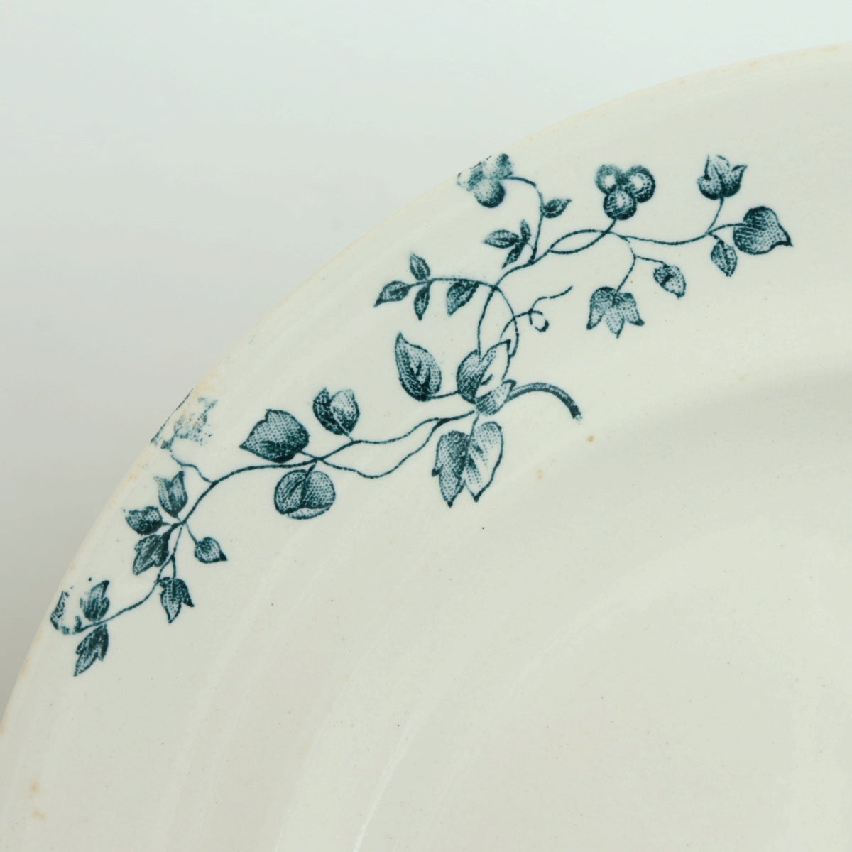 アンティーク プレート 小鳥 皿 MIGNON フランス ロンウィー製 LONGWY