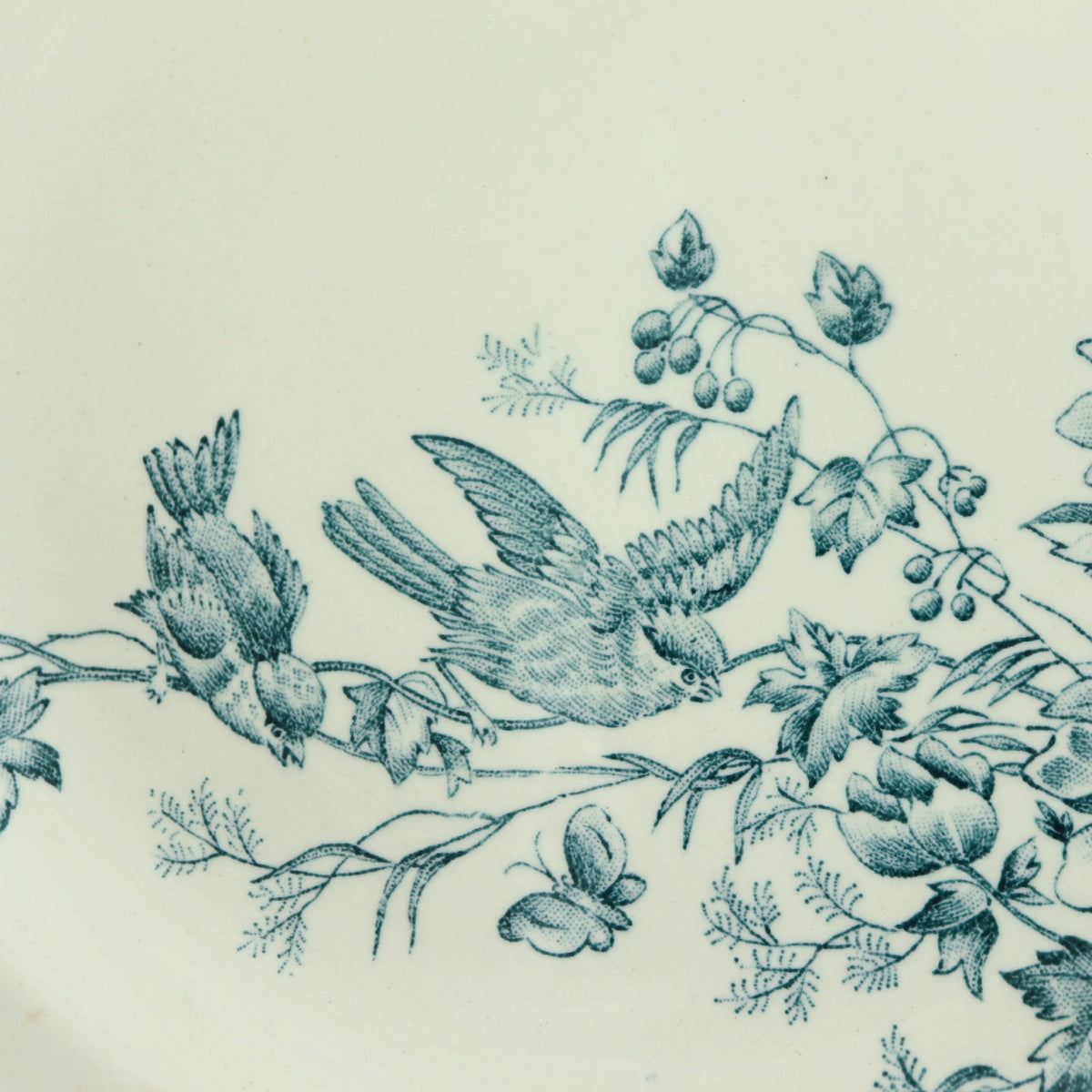アンティーク プレート 小鳥 皿 MIGNON フランス ロンウィー製 LONGWY