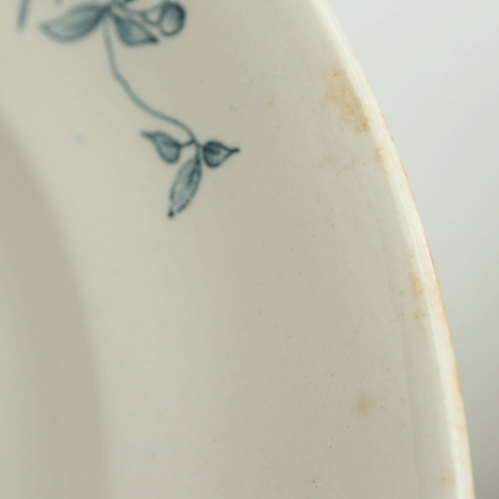 アンティーク プレート 小鳥 皿 MIGNON フランス ロンウィー製 LONGWY