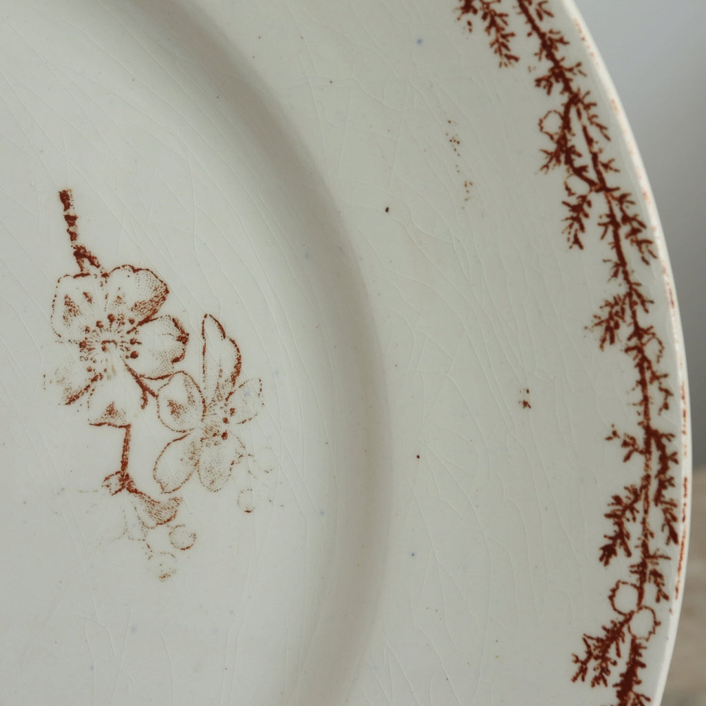 アンティーク プレート 小鳥 皿 SYLVA フランス クレイユモントロー製 Creil Montereau