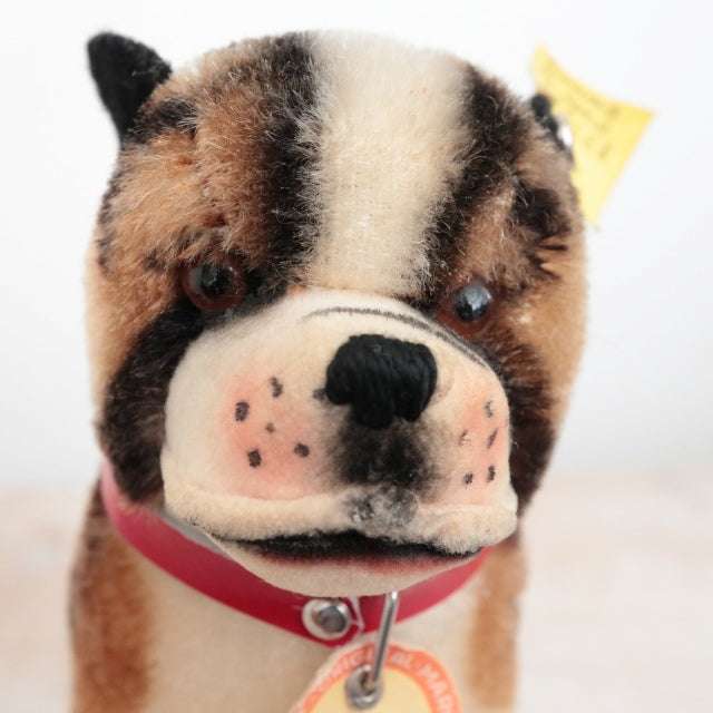 アンティーク シュタイフ ブルドッグ Steiff Bully 10cm