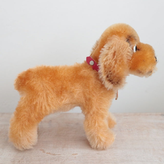 アンティーク シュタイフ コッカースパニエル Steiff Cockie 12cm