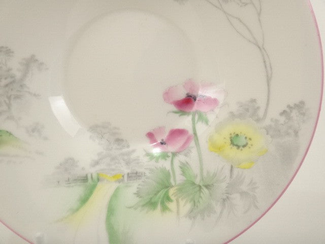 SHELLEY シェリー ポピー Poppies ティートリオ